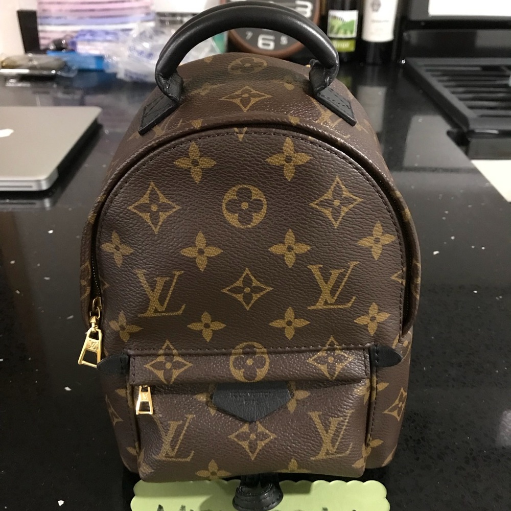 💕Louis Vuitton Palm Springs Mini💕